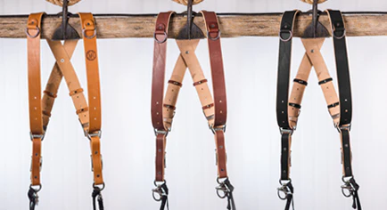 Chestnut_MM-2_grande